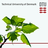 Technical University of Denmark