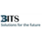 Biswas Information Technology Systems, Inc.