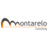 Montarelo Consulting S.L.U.